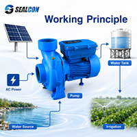 Pompe centrifuge de surface à énergie solaire 3HP, économie d'énergie, hors réseau, pour transfert d'eau solaire à usage agricole