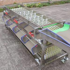 Machine de classification de manioc de nectarine de waxberry en acier inoxydable de haute qualité équipement de tri de dates de petits fruits moyens - Product Image 4