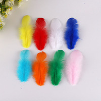Plumes de coq courtes teintes en vrac Hongxiang, sélectionnées de qualité supérieure pour la fabrication de bijoux et la décoration de fêtes