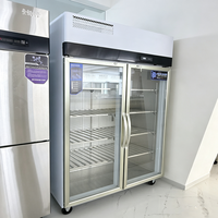 Réfrigérateur commercial à porte simple, distributeur de boissons électrique, refroidisseur de boissons, vitrine réfrigérée