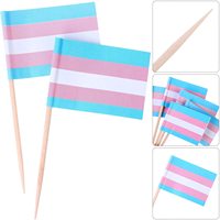 Transseksüel Gökkuşağı Bayrağı Kürdan Ahşap Cupcake Toppers Parti Dekorasyonu için Mini Bayrak Çubuğu Yeni