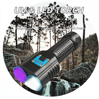 Lampe de poche UV à lumière noire IP65 industrielle 365nm avec batterie externe Type-C USB Rechargeable corps en alliage d'aluminium LED tactique