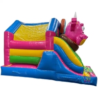 Château gonflable PVC pour fête en plein air, trampoline jungle, toboggan, certifié CE, capacité de 600 kg, couleur et logo personnalisables