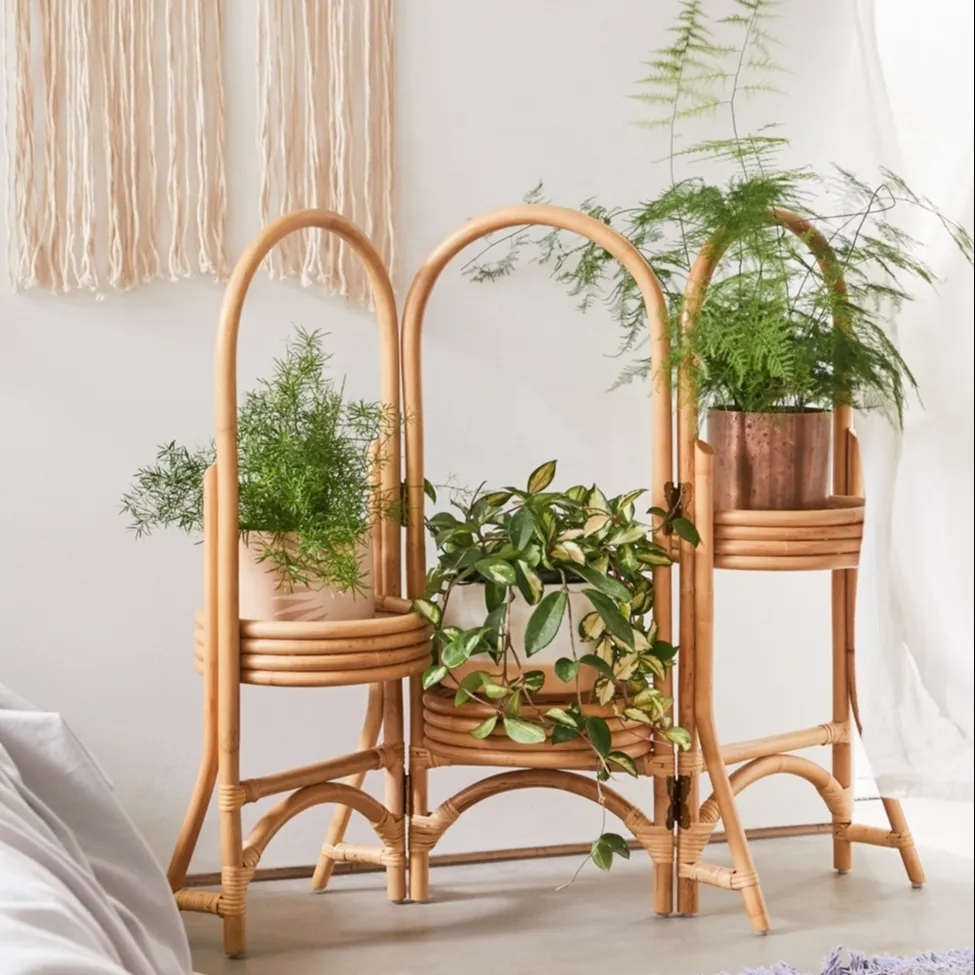 현대 디자인 거실 가구 등나무 식물 꽃 프레임