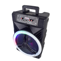 AIlipu 12 pouces en plein air portable sans fil haut-parleur