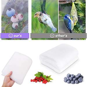 Filet anti-insecte de <span class=keywords><strong>protection</strong></span> de serre <span class=keywords><strong>transparent</strong></span> en <span class=keywords><strong>plastique</strong></span> PE-HD pour l'agriculture en Chine - Product Image 2