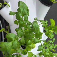 Tour de culture hydroponique verticale 30L10 couches 40 pots pour la culture de la laitue, des fruits et des légumes