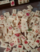 Tuiles de Mahjong Américaines Personnalisées Wild Mare Desert Rose 160, en Acrylique Gravé Haut de Gamme, Vert Héritage, pour Ensemble de Mahjong de Luxe