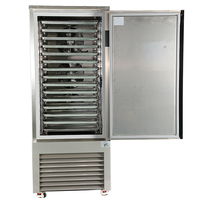 Aumesch 5 8 10 15 20 30 Plateaux Congélateur à pression enfichable-40 °C Congélation rapide Dégivrage automatique pour la viande Fruits de mer Fruits Utilisation commerciale