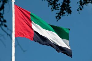 Bandera del Día Nacional <span class=keywords><strong>de</strong></span> los Estados Unidos, países árabes, Países Árabes Unidos, 100% poliéster, 3x5 pies - Product Image 3