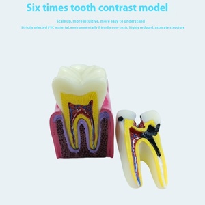 Equipo de Enseñanza Dental Manual <span class=keywords><strong>FURIEN</strong></span> SMILE, Modelo de Contraste de 6 Pliegues para Detección de Caries, Clase II, Certificado CCC, Uso Comercial y Doméstico - Product Image 2