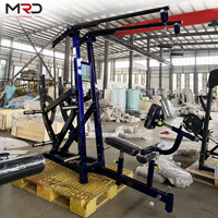 Máquina de Polea Lateral Independiente con Carga de Discos para Entrenamiento de Fuerza de Brazos y Espalda, Equipo de Entrenamiento de Fuerza de Tensión Alta