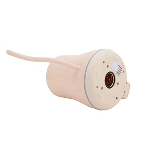 Hervidor de agua eléctrico de cuello de cisne de acero inoxidable para verter sobre o té - Product Image 3