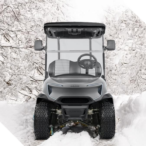 Voiturettes de golf électriques roses 48V 72V au lithium, voiturette de golf de rue légale - Product Image 5