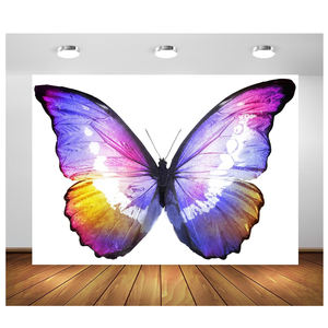 全彩生日快乐派对装饰品大粉色蓝色生日蝴蝶翅膀布艺背景横幅家居装饰 - Product Image 5