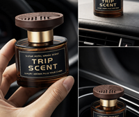 Diffuseur de parfum d'ambiance de luxe personnalisé pour la maison, ensemble de diffuseurs à bâtonnets en verre, huile essentielle, désodorisant d'air - Parfum longue durée, coffret cadeau