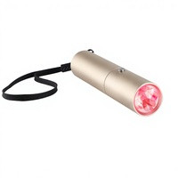 Lampe de thérapie par lumière rouge portable, 5 LED, appareil portatif avec attache de type C pour la charge
