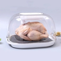 Plaque de décongélation rapide à transport automatique de haute qualité atomiseur à lumière UV plateau de dégivreur de viande de pulvérisation pour les aliments congelés