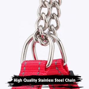 ट्रेनर को मंजूरी दी सीमित पर्ची कॉलर भारी शुल्क Martingale कुत्ते कॉलर के साथ स्टेनलेस स्टील श्रृंखला - Product Image 4