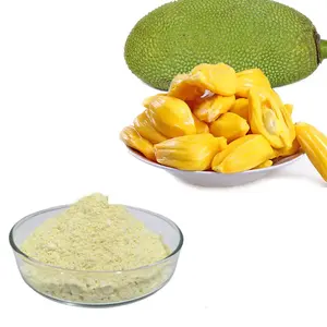 New Product Freeze Dried Jackfruit Powder On Sale