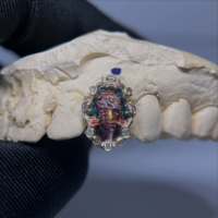 Grillz dentaire amovible en argent S925 pour une seule dent, avec peinture émail portrait et cadre de moissanite VVS, style Hip Hop