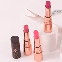 Crayon magique cosmétique imperméable à l'eau en gros rouge à lèvres imperméable marque privée rouge à lèvres mat hydratant haut de gamme