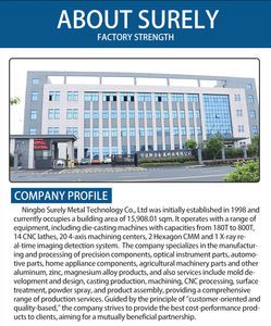 当然，OEM高精度ADC12铝合金压铸汽车机械零件中国浙江工厂直接服务 - Product Image 3