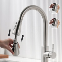 Robinet de cuisine professionnel flexible avec douchette extractible, poignée simple ou double, en acier inoxydable brossé, matériau personnalisable