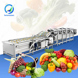 Máquina de Procesamiento de Frutas y Verduras OCEAN Dragon Fruit Clean Line: Máquina de Limpieza, Clasificación y Lavado de Champiñones - Product Image 1