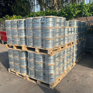 <span class=keywords><strong>Alambre</strong></span> de Hierro Electrogalvanizado, <span class=keywords><strong>Alambre</strong></span> de Acero <span class=keywords><strong>Galvanizado</strong></span> por Inmersión en Caliente, <span class=keywords><strong>Alambre</strong></span> de Amarre para Construcción, Fabricante de Mallas para Cercas - Product Image 4