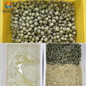 Machine industrielle pour le dénoyautage, le traitement à l'eau chaude et l'extraction de jus des cerises, des prunes, des pruneaux, des groseilles indiennes et des Phyllanthus Emblica - Product Image 3