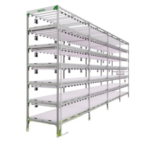 Miglior sistema di allevamento verticale di lattuga dalla tecnologia idroponica NFT - Product Image 4