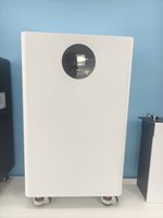 Batterie LiFePO4 51,2 V 314 Ah 16 kWh pour stockage d'énergie domestique, montage au sol, compatible avec la plupart des onduleurs