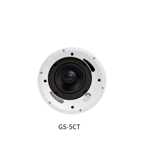 Thinuna GS-5CT High Quality Audio Sound 2 Way 5 Inch Ceiling Speaker Commercial Professional Built In Ceiling Mounted Speakers