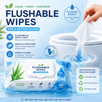 Toallitas Húmedas Desechables Económicas, Papel Higiénico Húmedo de Alta Calidad, 100% Biodegradable, para el Hogar, para Brasil, México, Marca Privada