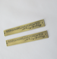 Plaque signalétique personnalisée en laiton plaqué or antique 3D avec motif en relief pour appareils électroménagers et mobilier d'hôtel, trou de fixation inclus