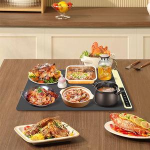 Bandeja Calentadora de Alimentos Plegable de Silicona Novedad 2026, Bandeja Eléctrica de Silicona para Calentar Comida con Temperatura Ajustable - Product Image 4