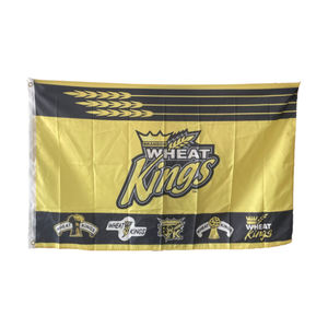 Флаги ускоренной доставки 3x5 Пользовательские Индивидуальные Флаги печати логотипа - Product Image 6