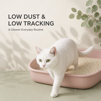 Litière pour chat au manioc anti-odeur, absorption rapide, faible poussière, formule pour des pattes propres, vente en gros, parfum et emballage personnalisés, service OEM ODM