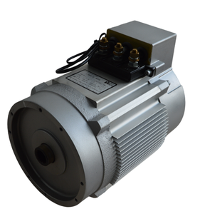 Motor de CA trifásico de 48V 3KW para trabajo de carrito de golf eléctrico para carrito de golf Lvtong - Product Image 3