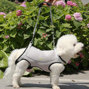 Modieuze, ademende polyester hondenharnas met gevoerde riem en stevige mesh rugzak voor honden met zwakke achterpoten - Product Image 2