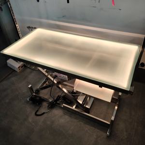 स्टेनलेस स्टील चमकदार इलेक्ट्रिक सौंदर्य टेबल पालतू सौंदर्य टेबल पालतू सौंदर्य उत्पाद बिजली उठाने वाले उत्पाद इलेक्ट्रिक उठाने के लिए - Product Image 5