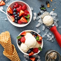 Cuchara para Helado de Aleación de Zinc con Logotipo Personalizado al por Mayor, Resistente, Apta para Lavavajillas, para los Amantes del Helado que No Pueden Esperar
