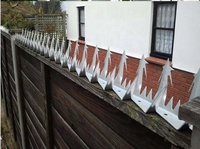 Pointes de clôture robustes anti-escalade, pointes de sécurité extérieures tranchantes pour la protection des maisons en zone rurale