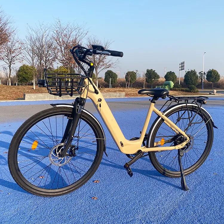 250 W Gelände-E-Bike durchstiegs-Elektrofahrrad 26-Zoll Reifen für Erwachsene Elektrofahrrad Elektro-Stadtfahrrad