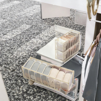 Lot de 2 organiseurs de rangement pour sous-vêtements, pliables, anti-poussière, légers, compacts, en tissu maillé, séparateurs de tiroirs pour la maison