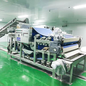 Máquina Extractora de Jugo de Frutas Industrial Automática Profesional Personalizada Tipo Correa de Alta Capacidad Comercial - Product Image 5