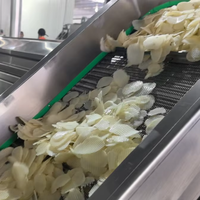 Eenvoudige bediening automatische productielijn voor aardappelchips, kleine schaal aardappelchipsmachine