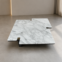 Table basse moderne en marbre blanc Arabescato avec base sculpturale en granit massif, option pour hôtel et salon
