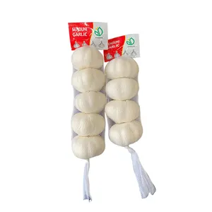 Export Brazil / Paraguay Market by sea Cold Storage Fresh White Garlic 10kg box 5.0/5.5cm/